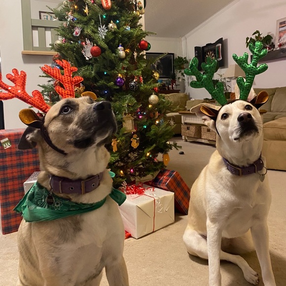 Meet your Posher, Ryan - Picture 3 of 4